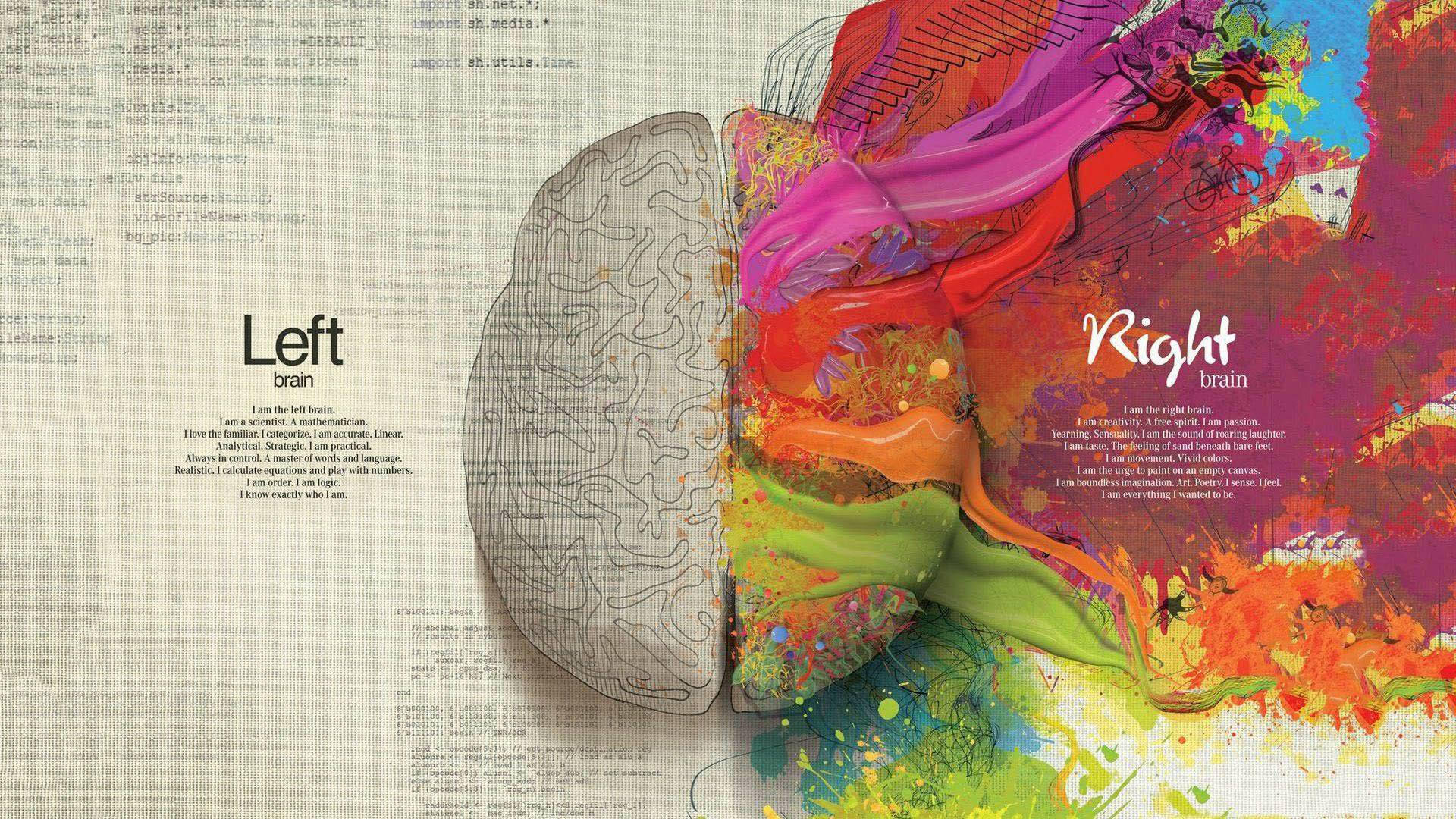 Contrasting Brain Hemispheres Illustration Background