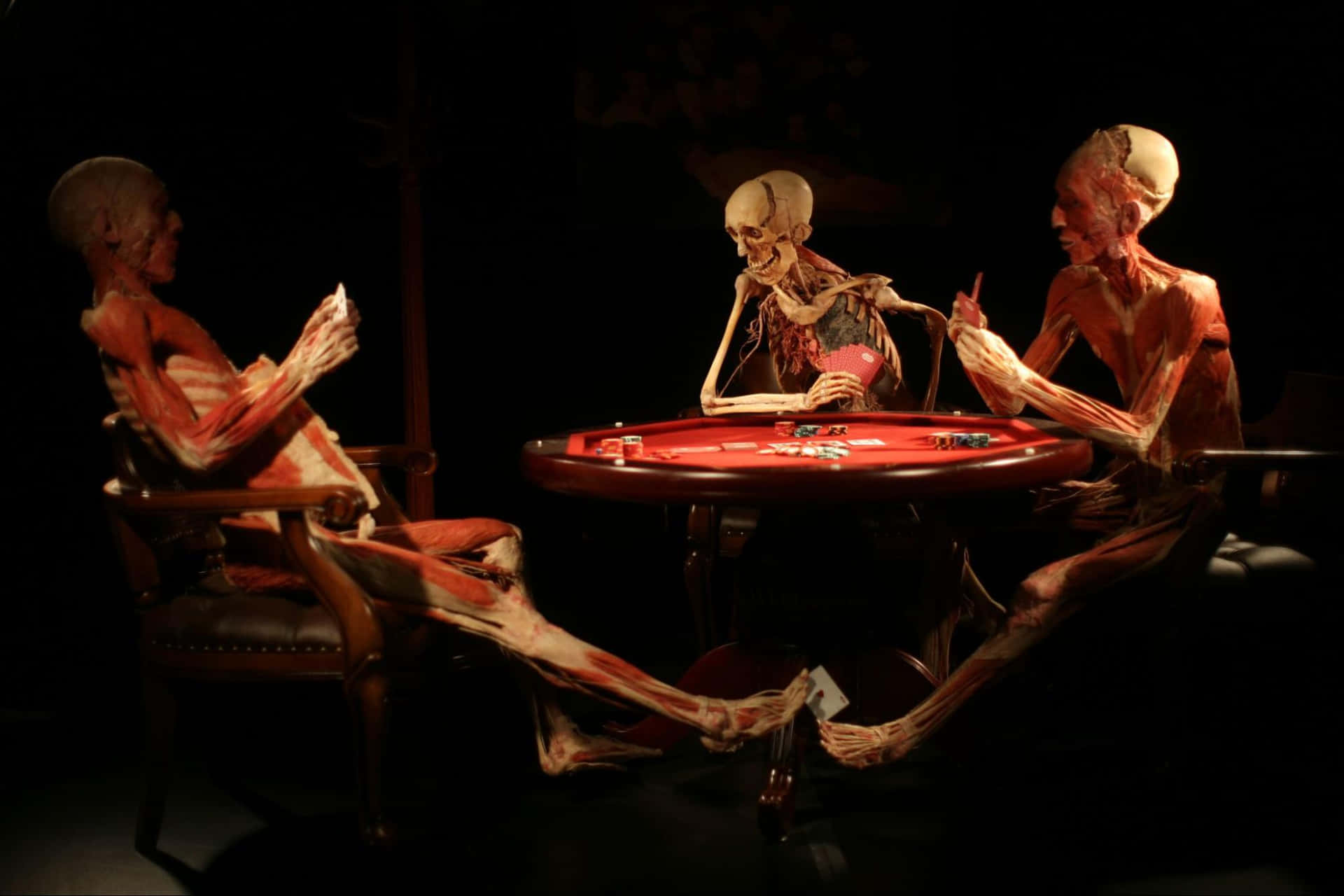 Controversial Bodies Exhibition Background