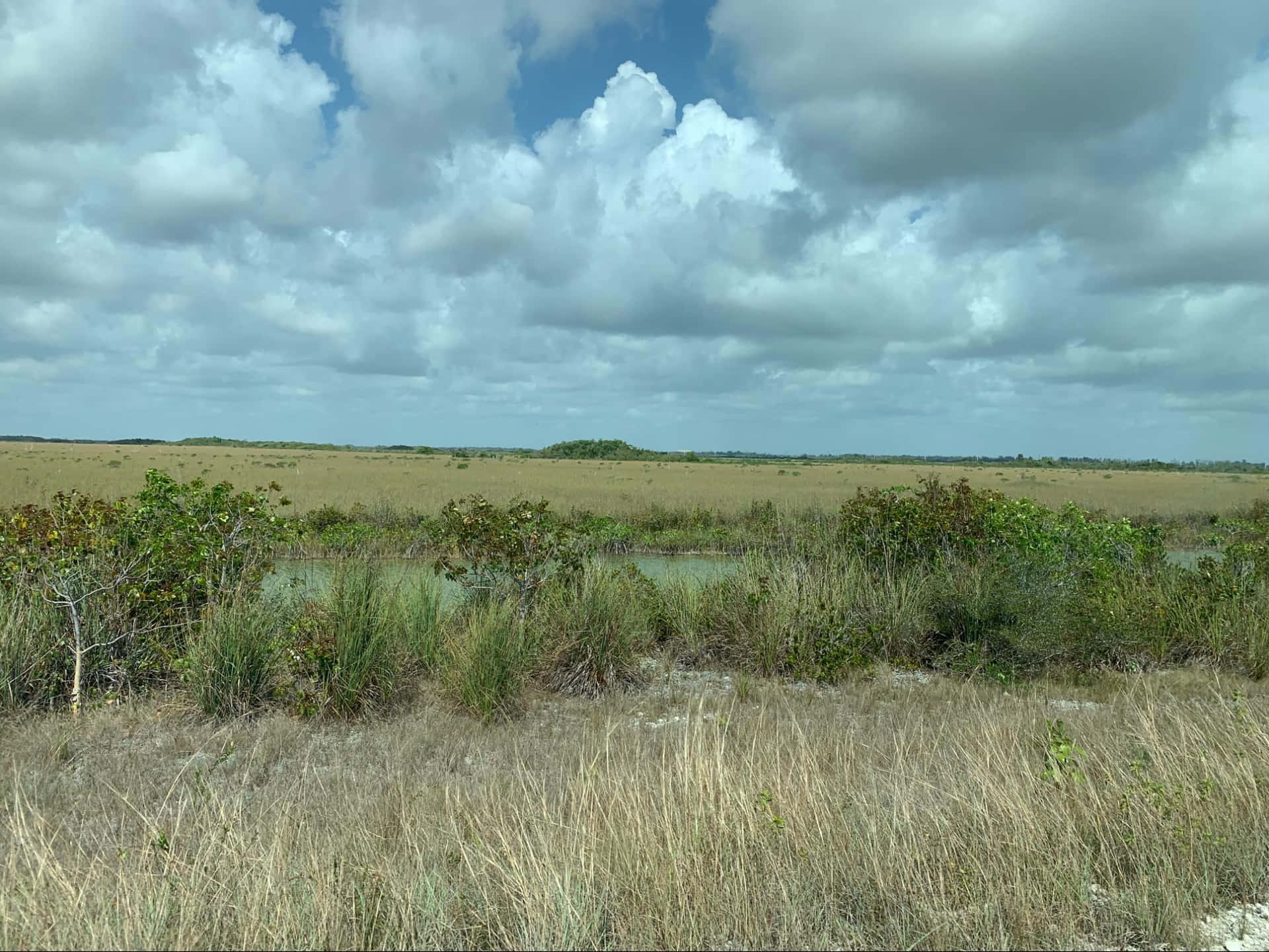 Controversial Wetlands In South Dade