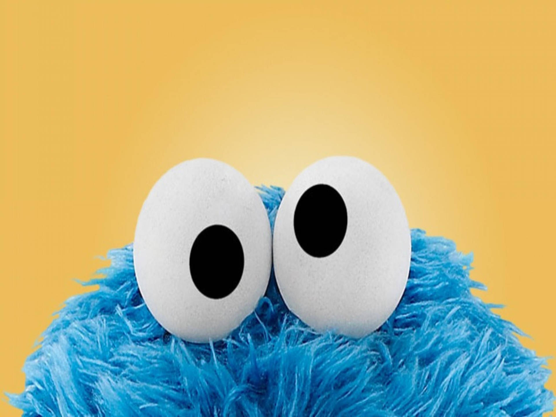 Cookie Monster With Googly Eyes Background