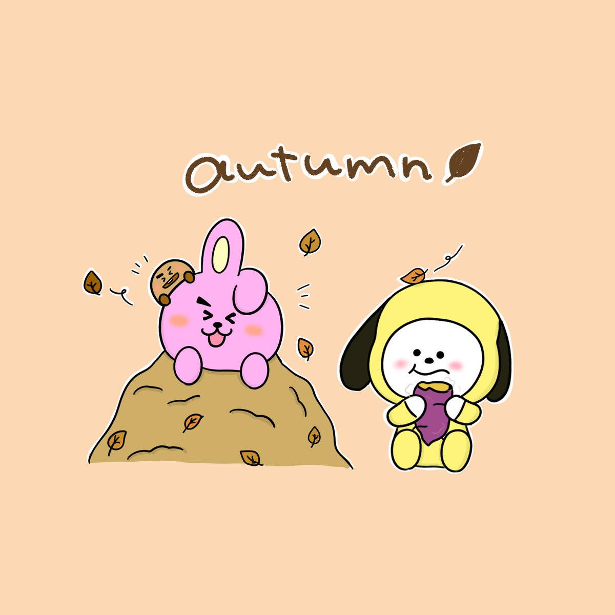 Cooky And Chimmy Bt21