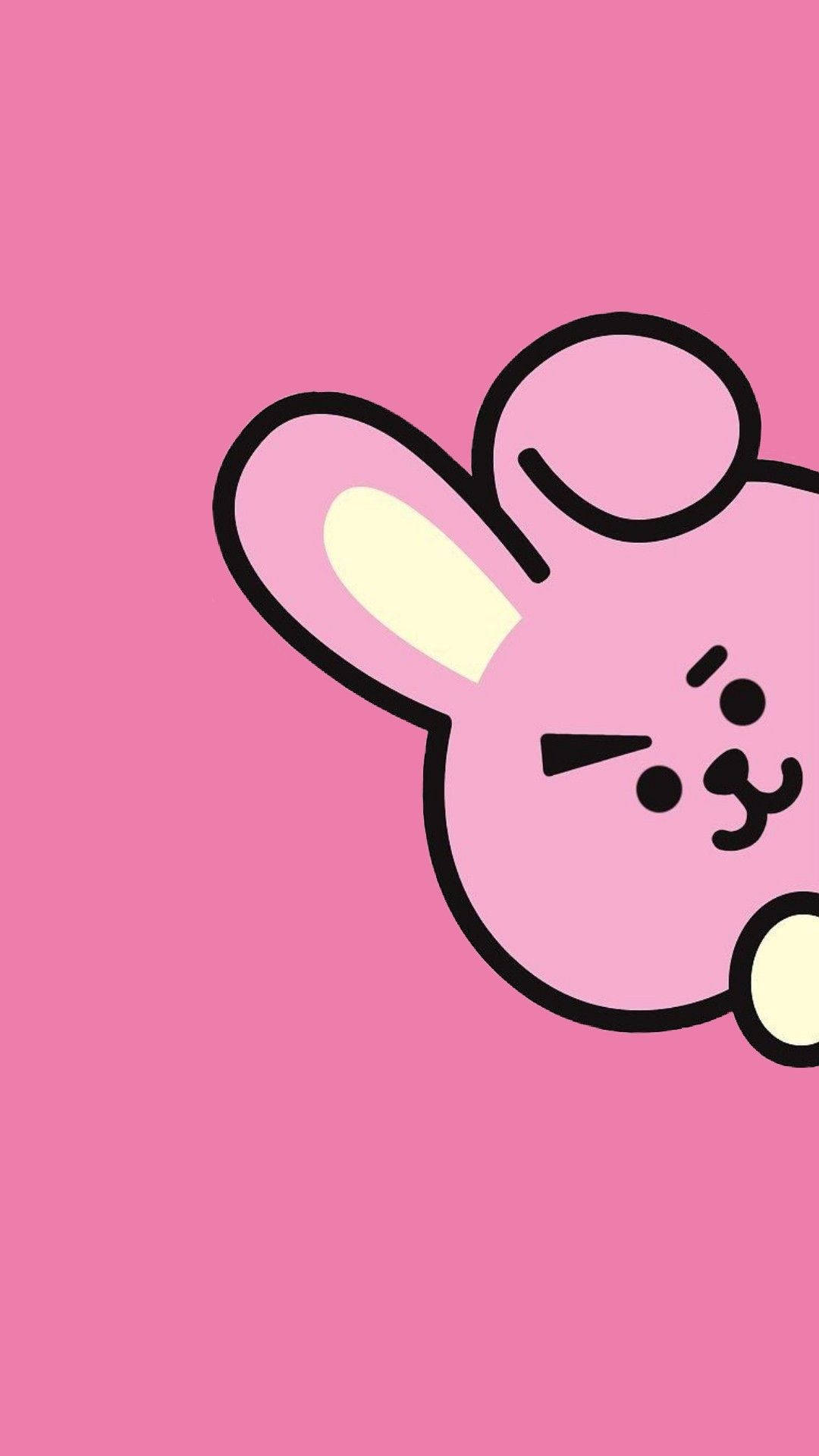 Cooky Bt21 Close-up Background