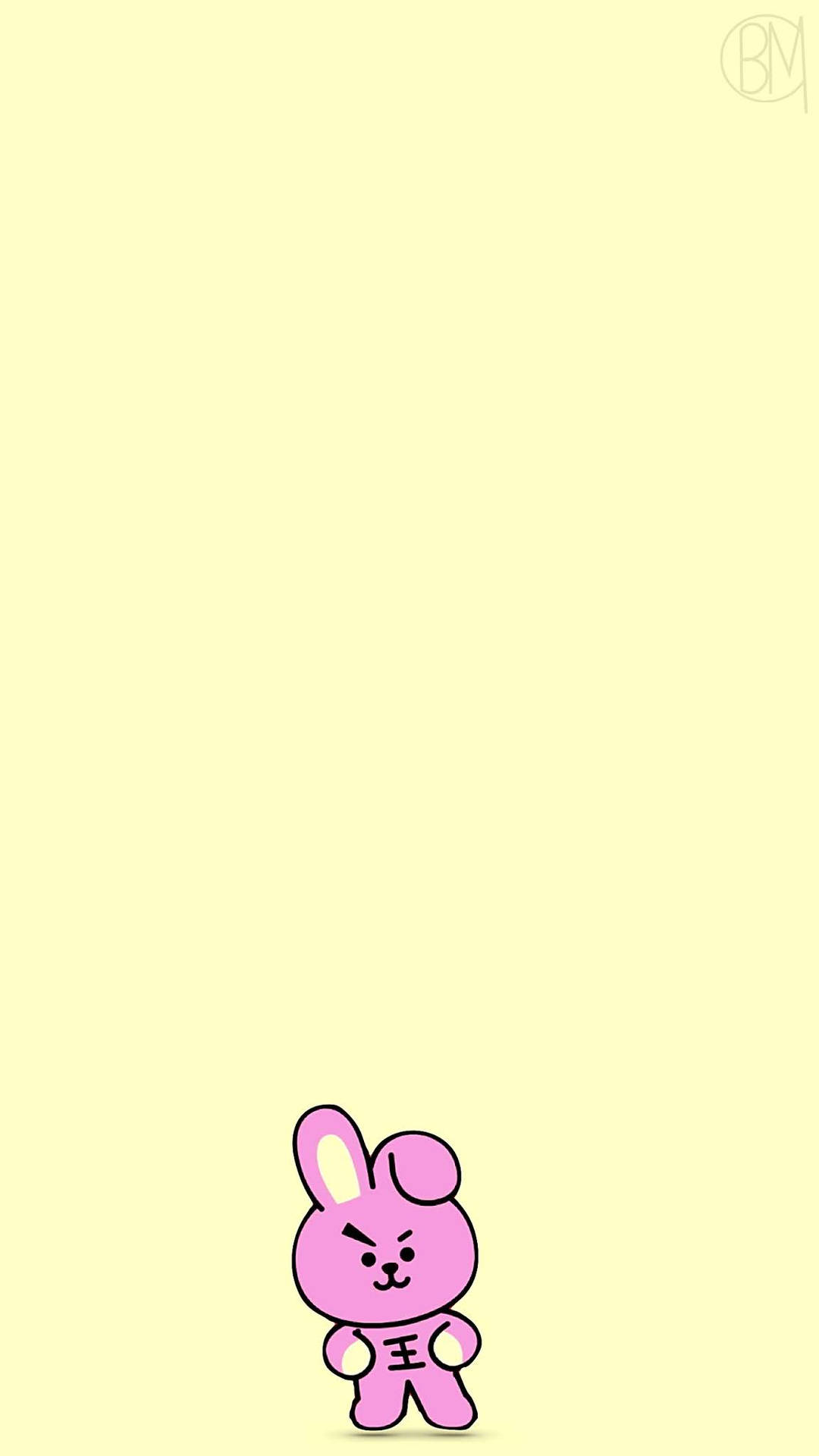 Cooky Bt21 With Abs Background