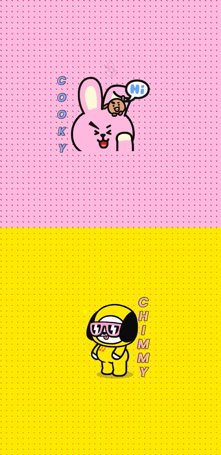 Cooky Bt21 With Chimmy
