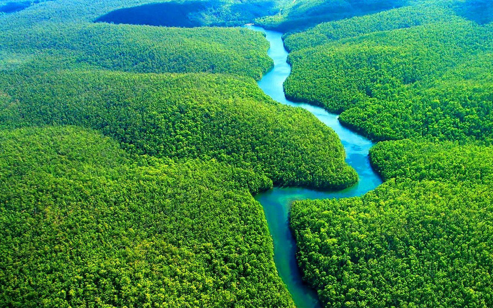 Cool Amazonas River