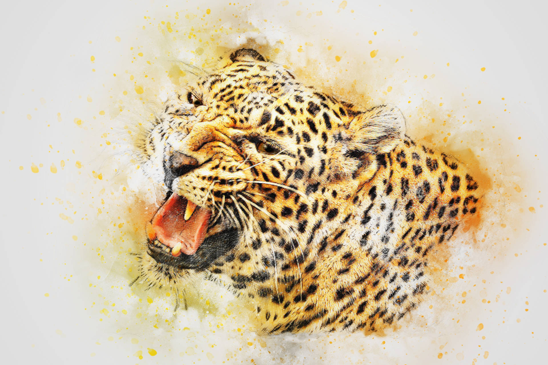 Cool Angry Leopard Art Background