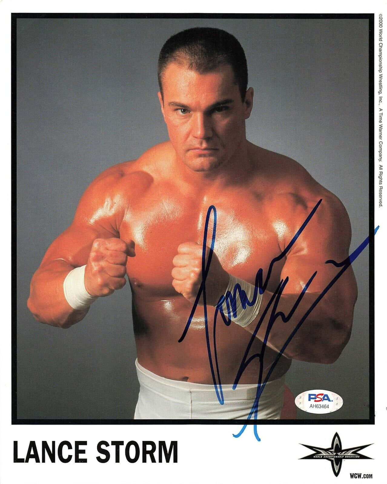 Cool Autographed Canadian Professional Wrestler Lance Storm Background