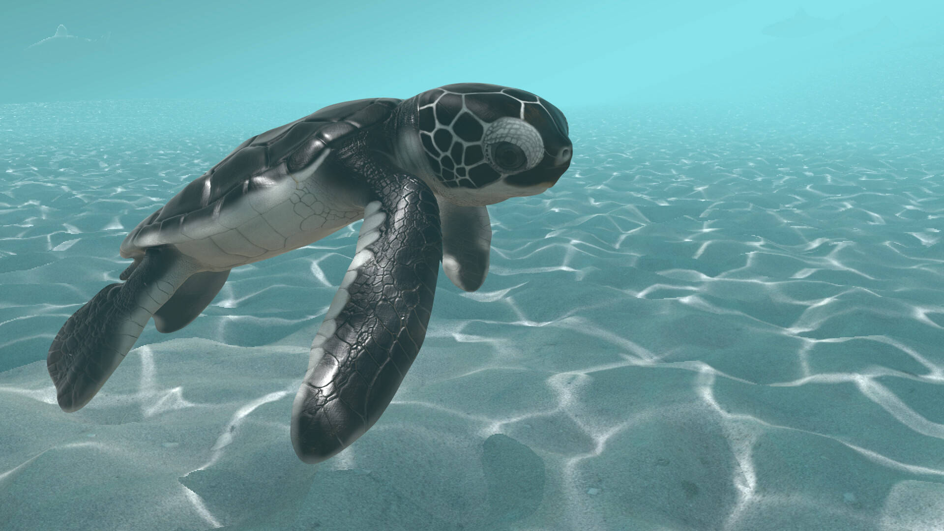 Cool Baby Turtle Undersea Background
