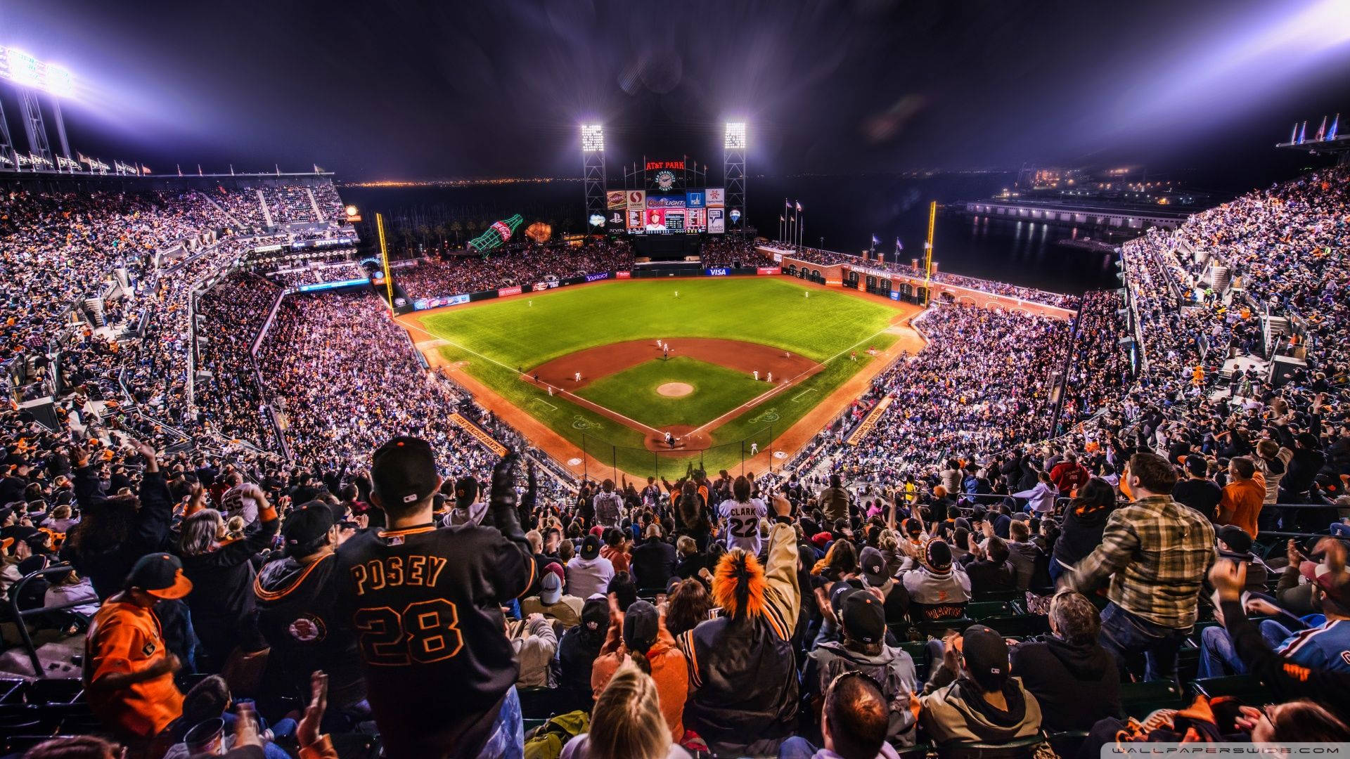 Cool Baseball Fans Cheering