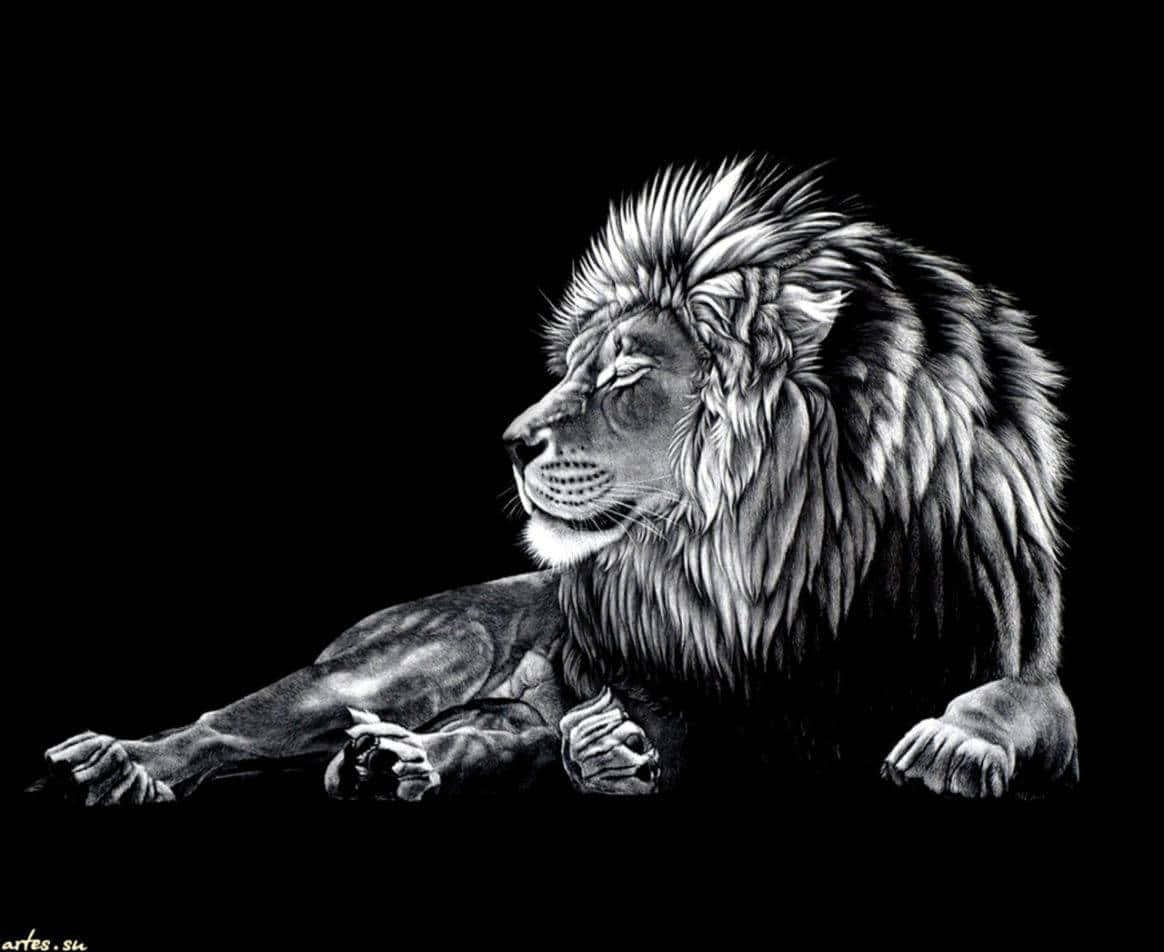 Cool Black And White Lion Sitting Background