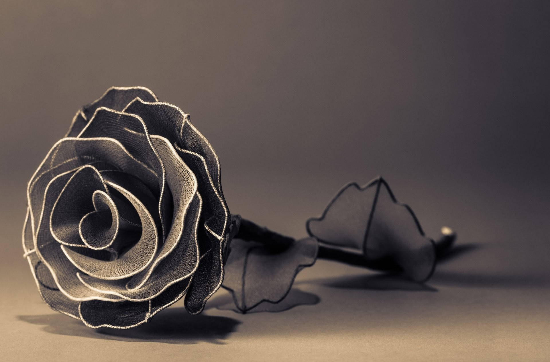 Cool Black Rose Background