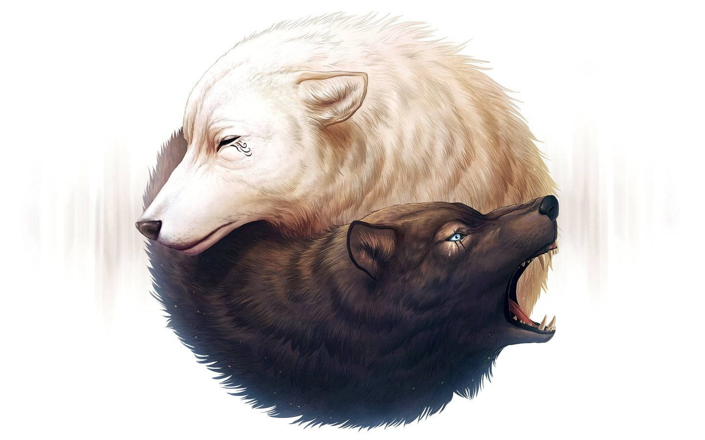Cool Black Wolf And White Wolf Yin Yang Background
