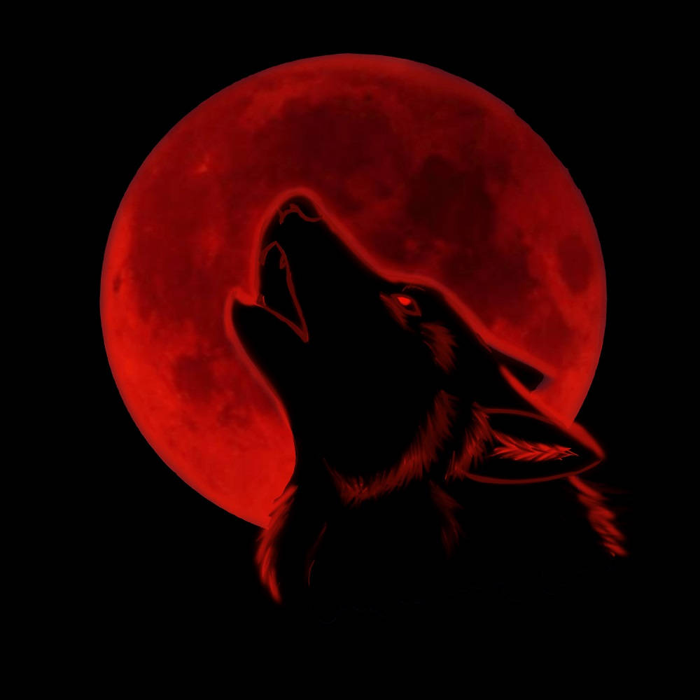 Cool Black Wolf Howling At Red Moon Background