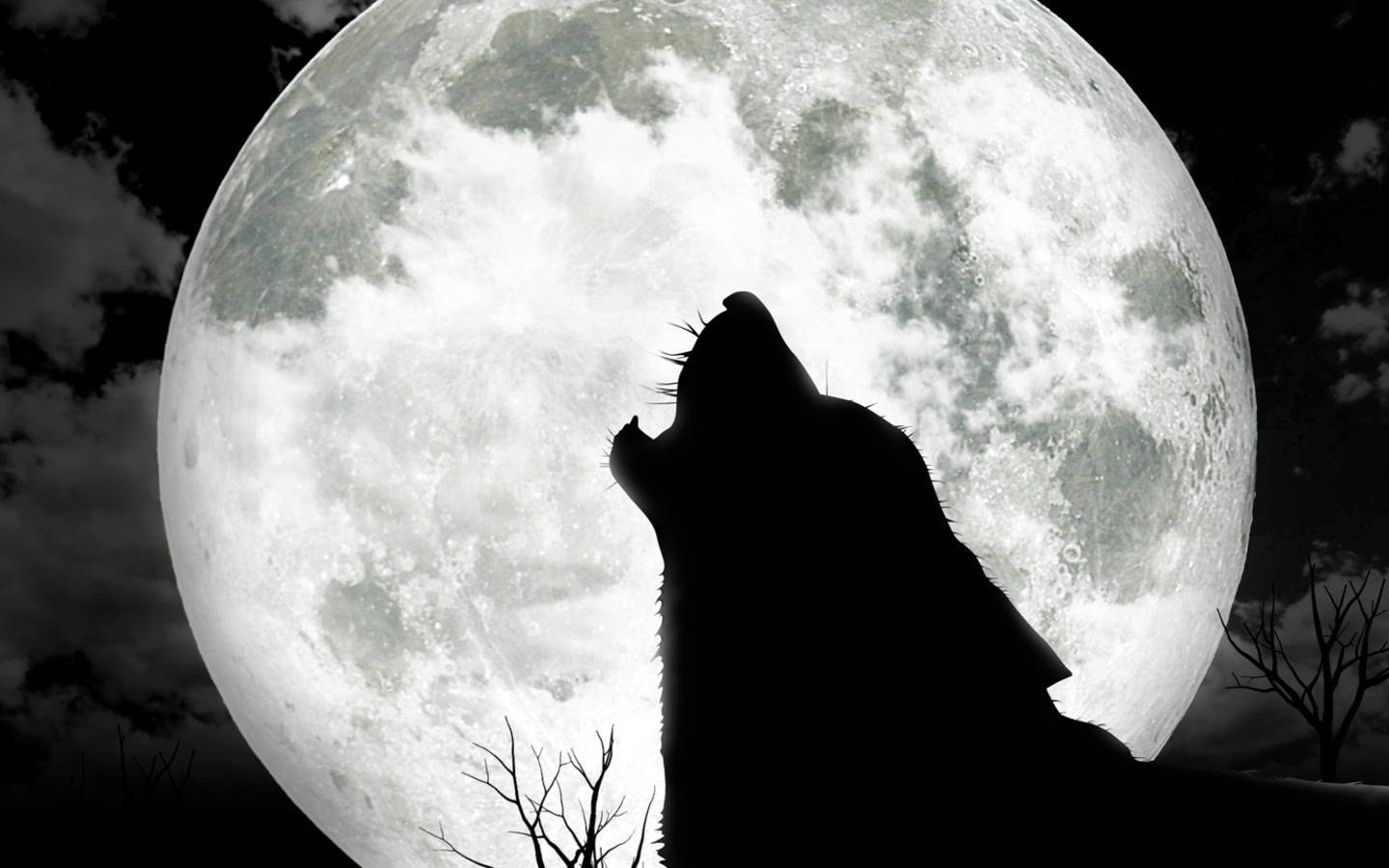 Cool Black Wolf Howling With Full Moon