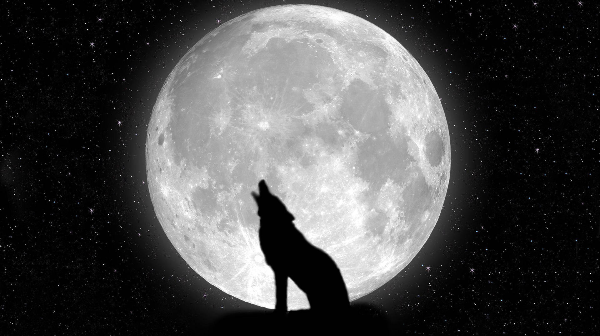 Cool Black Wolf Shadow On Full Moon Background