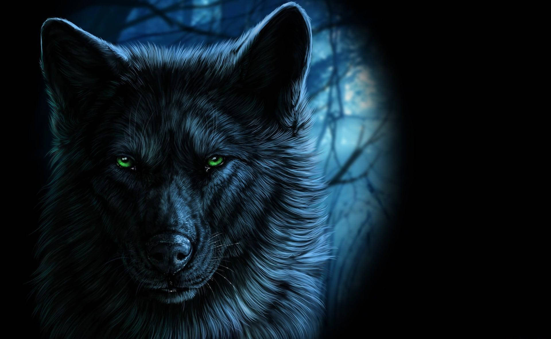 Cool Black Wolf With Green Eyes Background