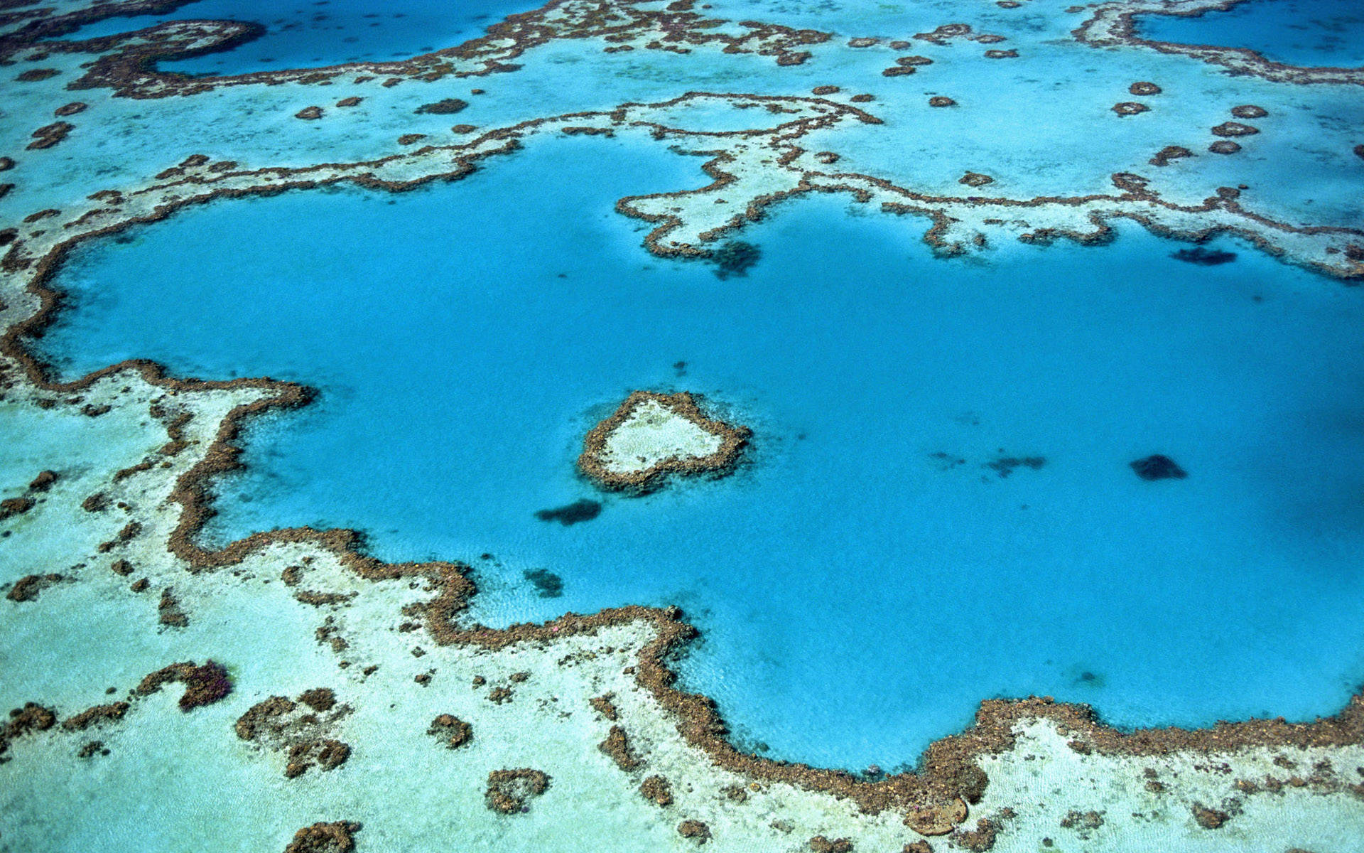 Cool Blue Coral Reef Australia Background