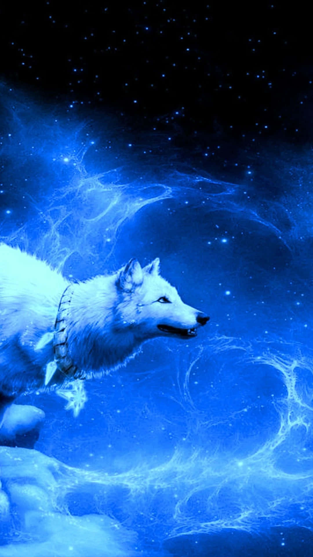 Cool Blue Wolf Northern Lights Background