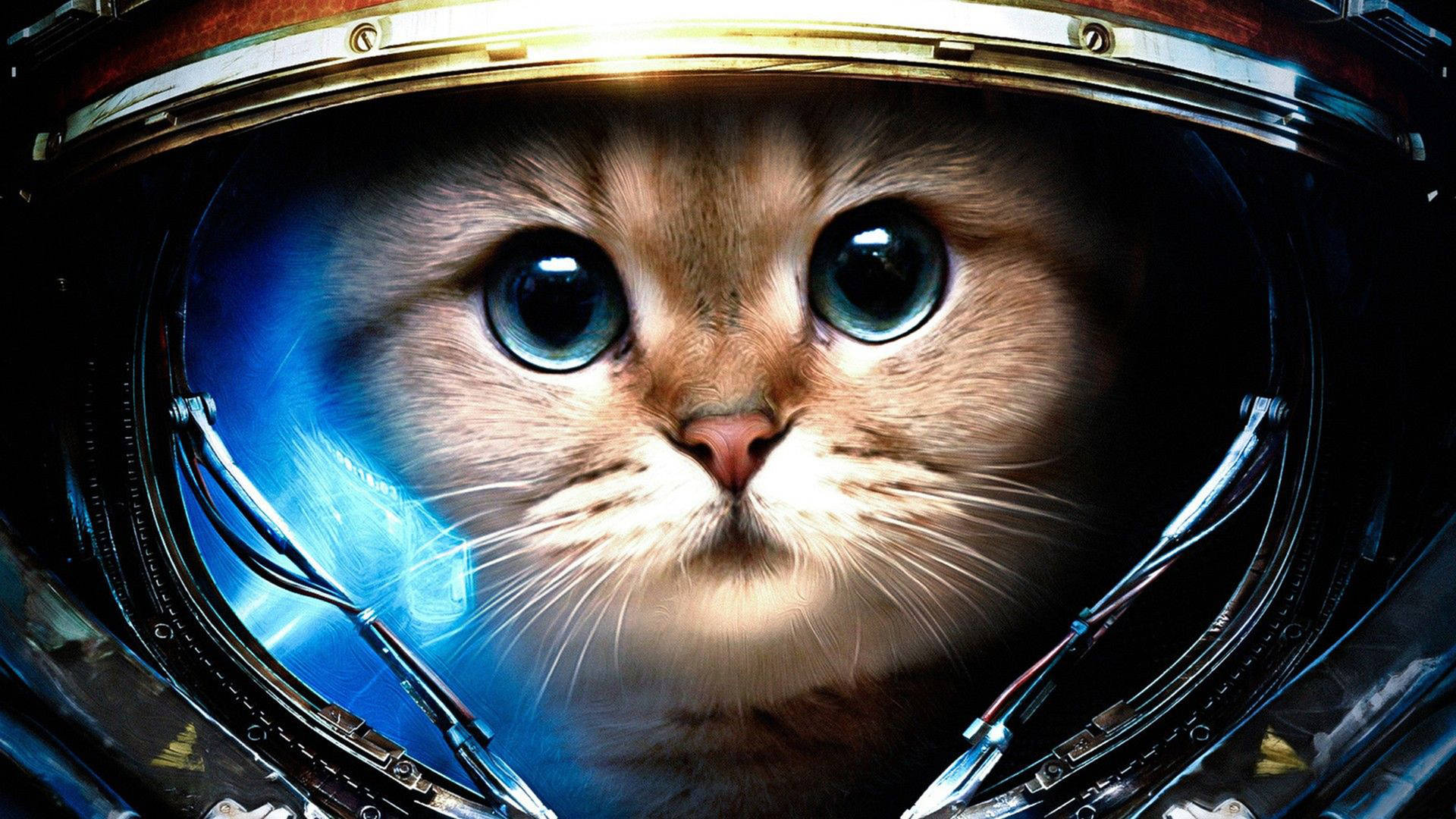 Cool Cat Astronaut Helmet Background