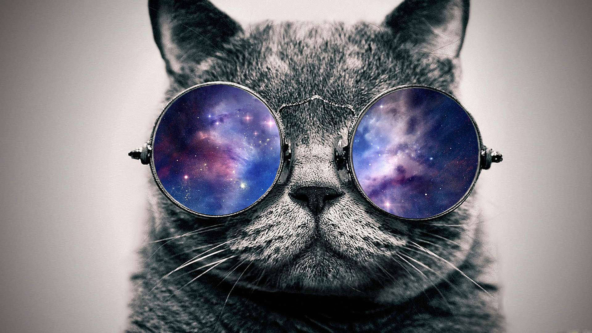 Cool Cat Donned In Galaxy Glasses Background