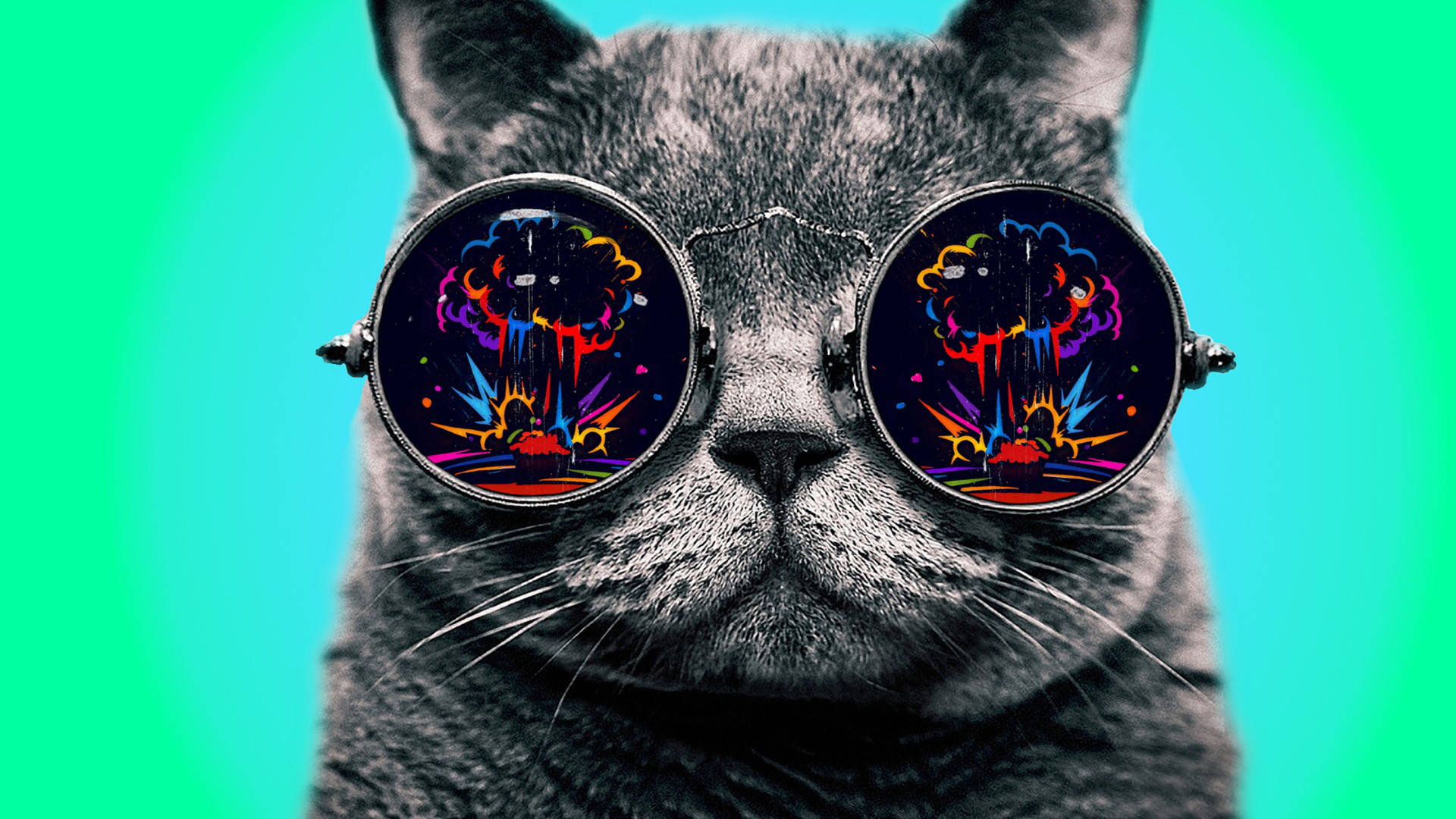 Cool Cat Explosion Glasses Background