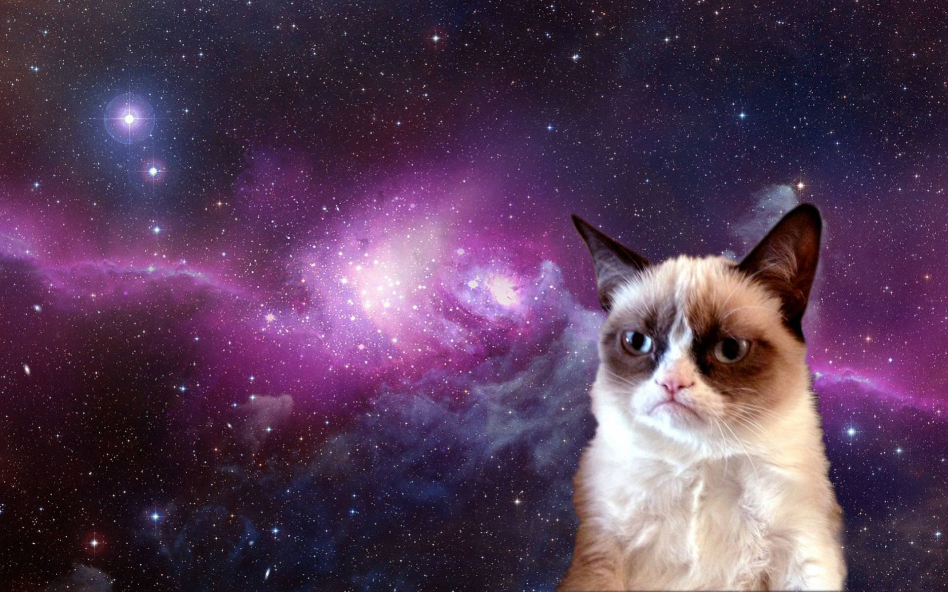 Cool Cat In Outer Space Background