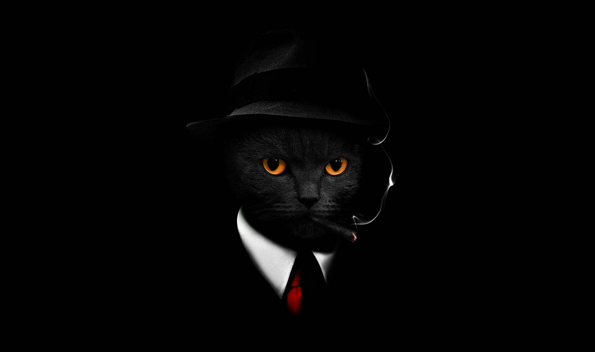 Cool Cat In Suit Background