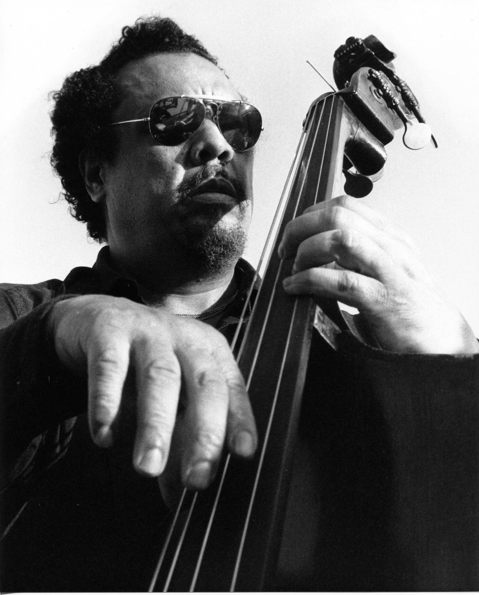 Cool Charles Mingus