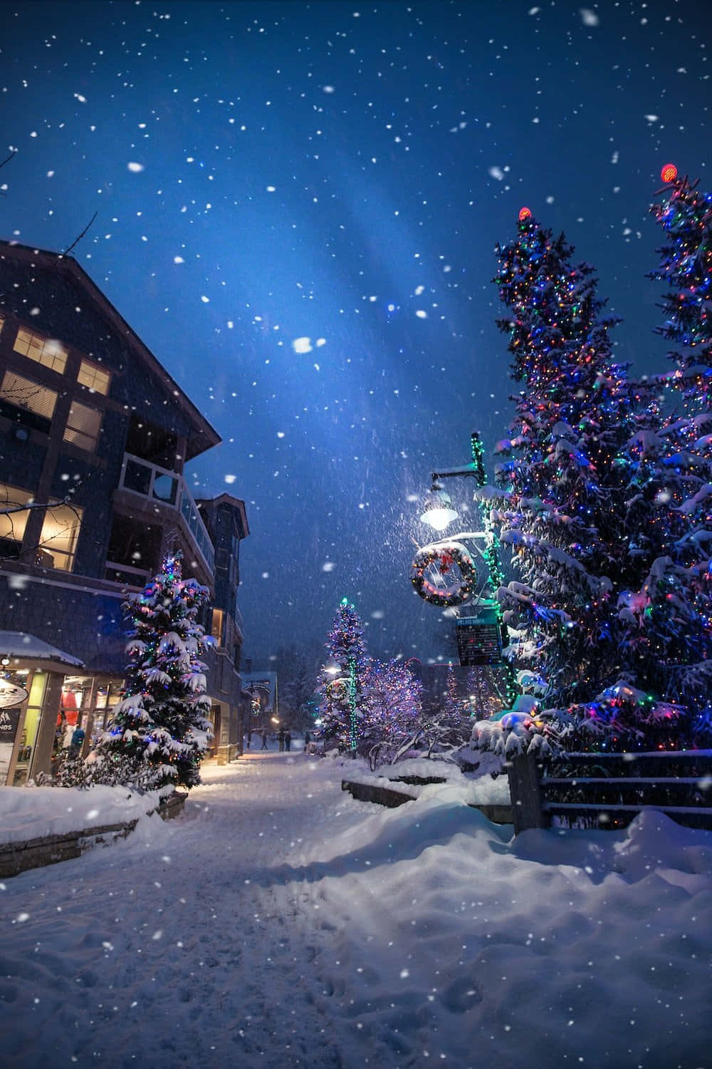 Cool Christmas Village Starry Night Sky