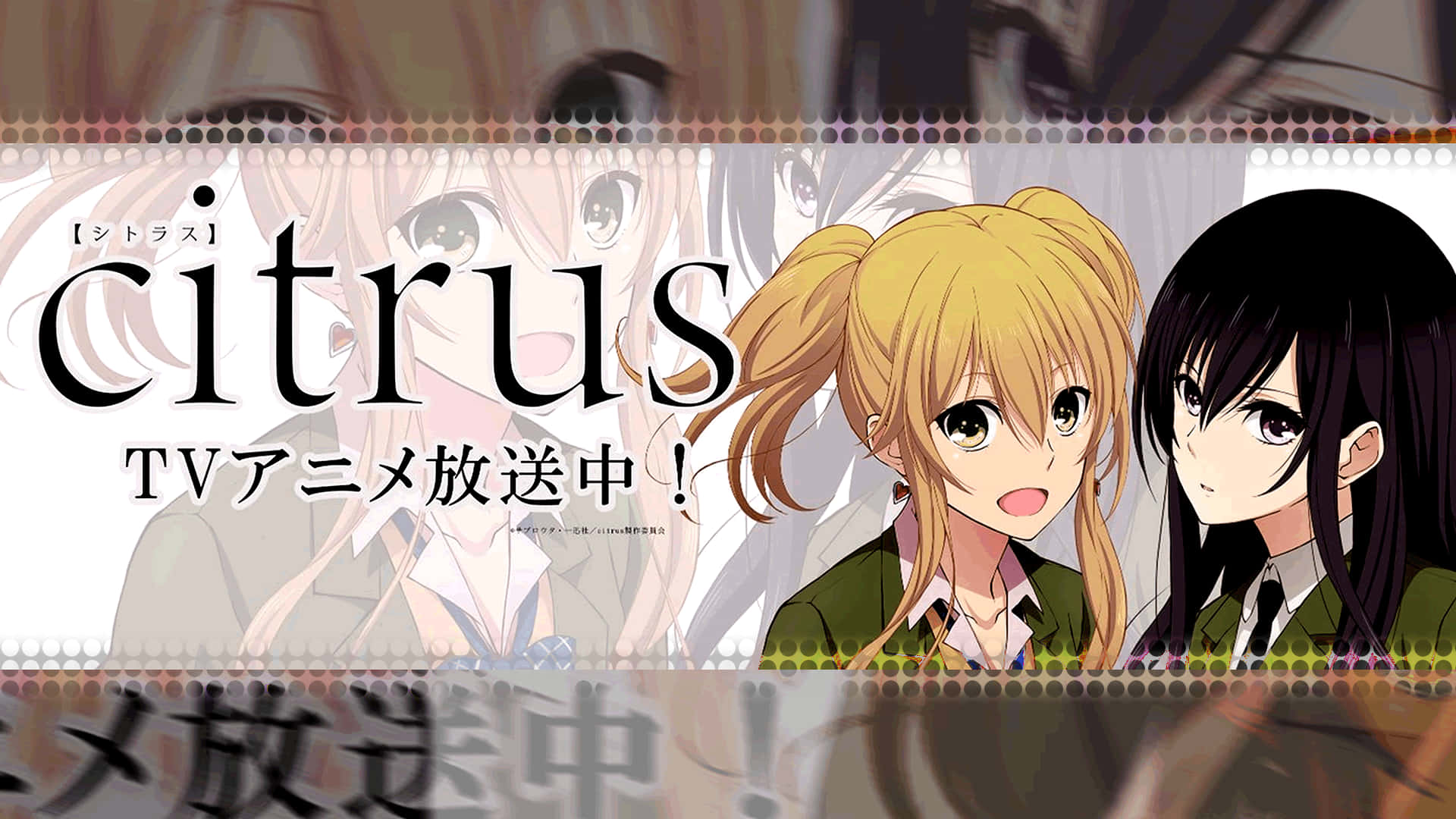 Cool Citrus Anime Poster Background