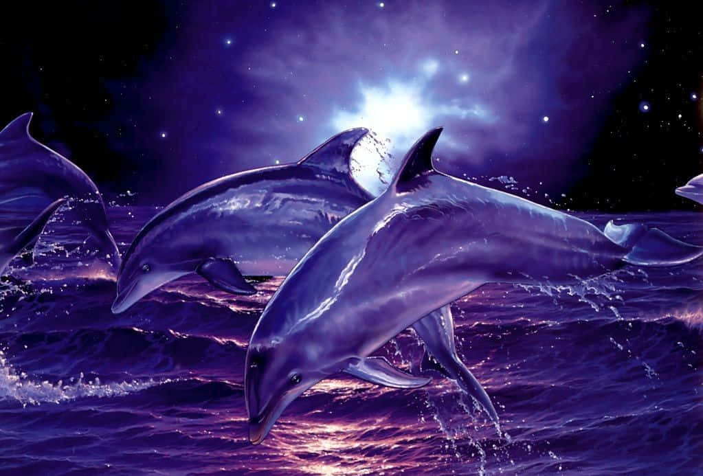 Cool Dolphins Purple Art Background