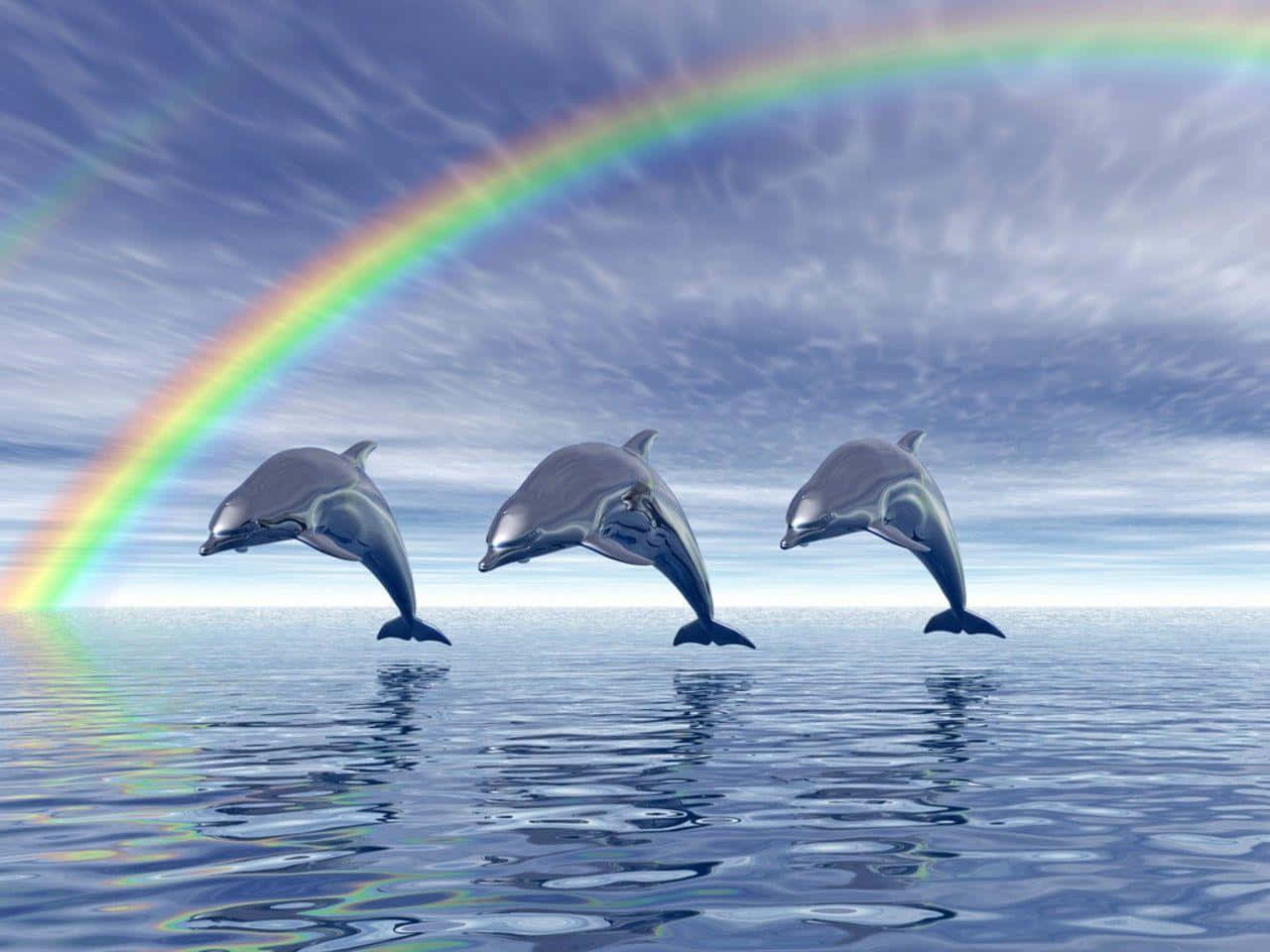 Cool Dolphins Rainbow Background
