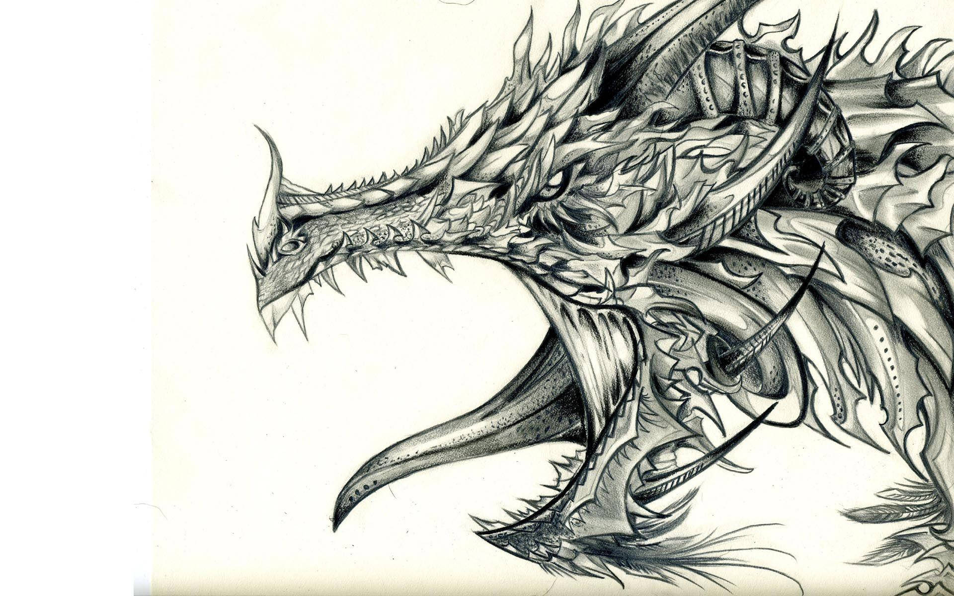 Cool Drawing Armored Dragon