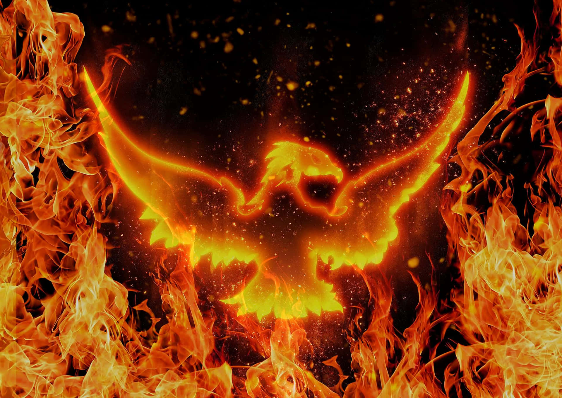 Cool Fire Bird Background