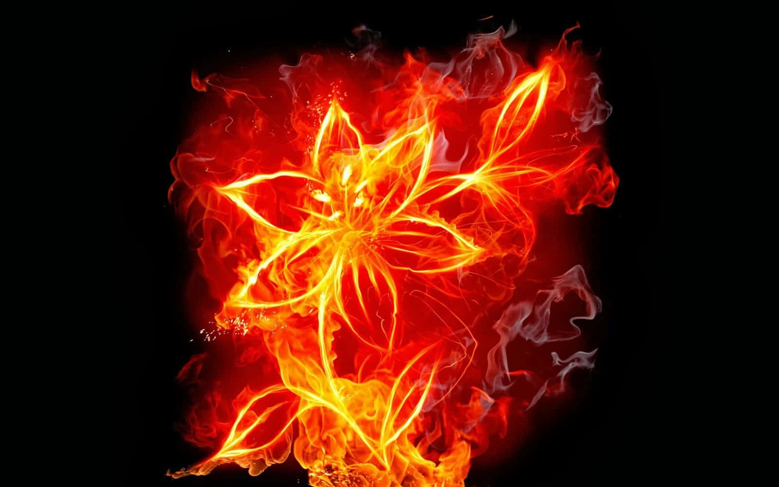 Cool Fire Flower Background