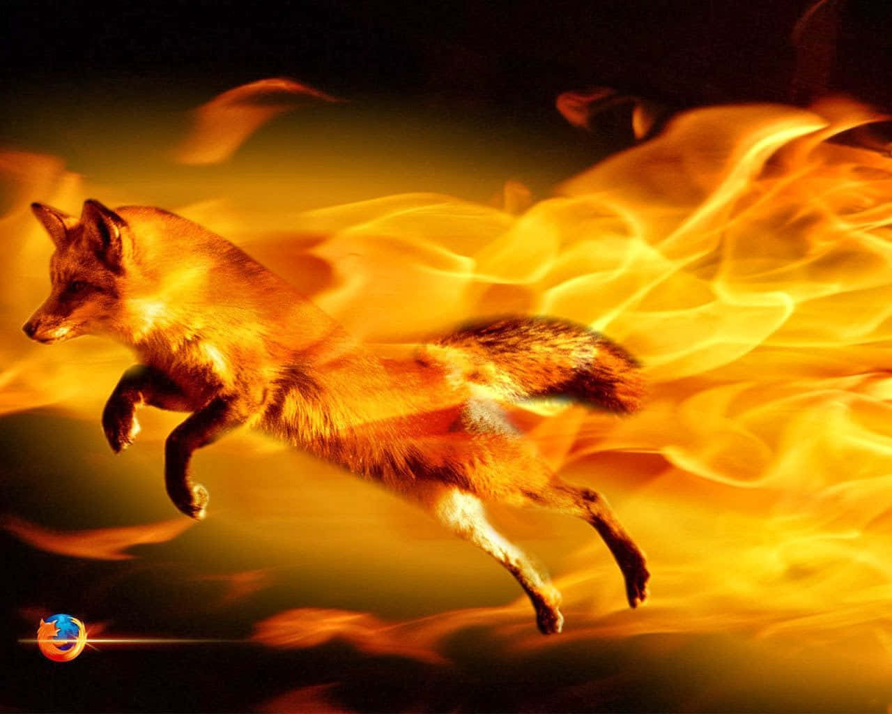 Cool Fire Fox Background