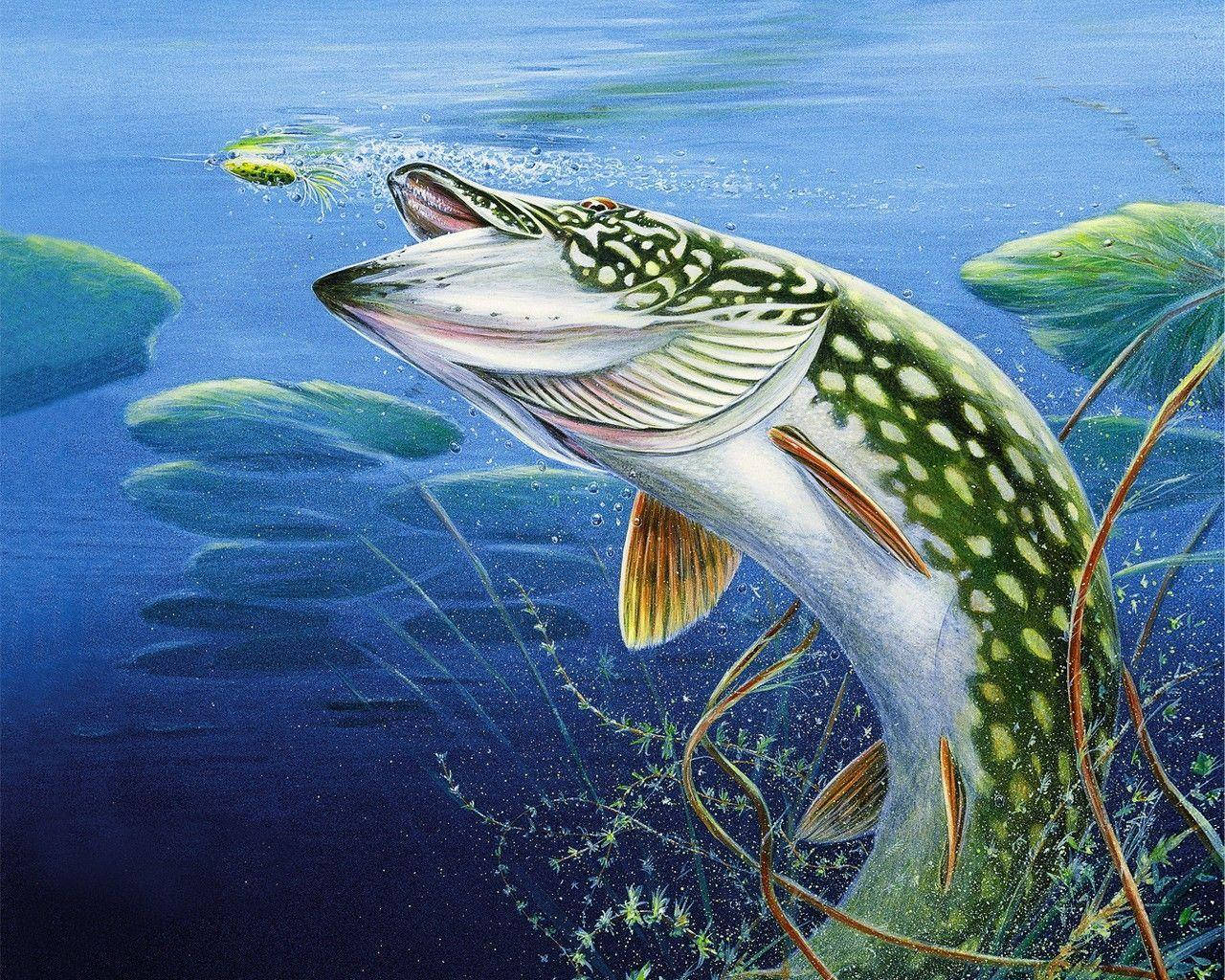 Cool Fish Painting Background