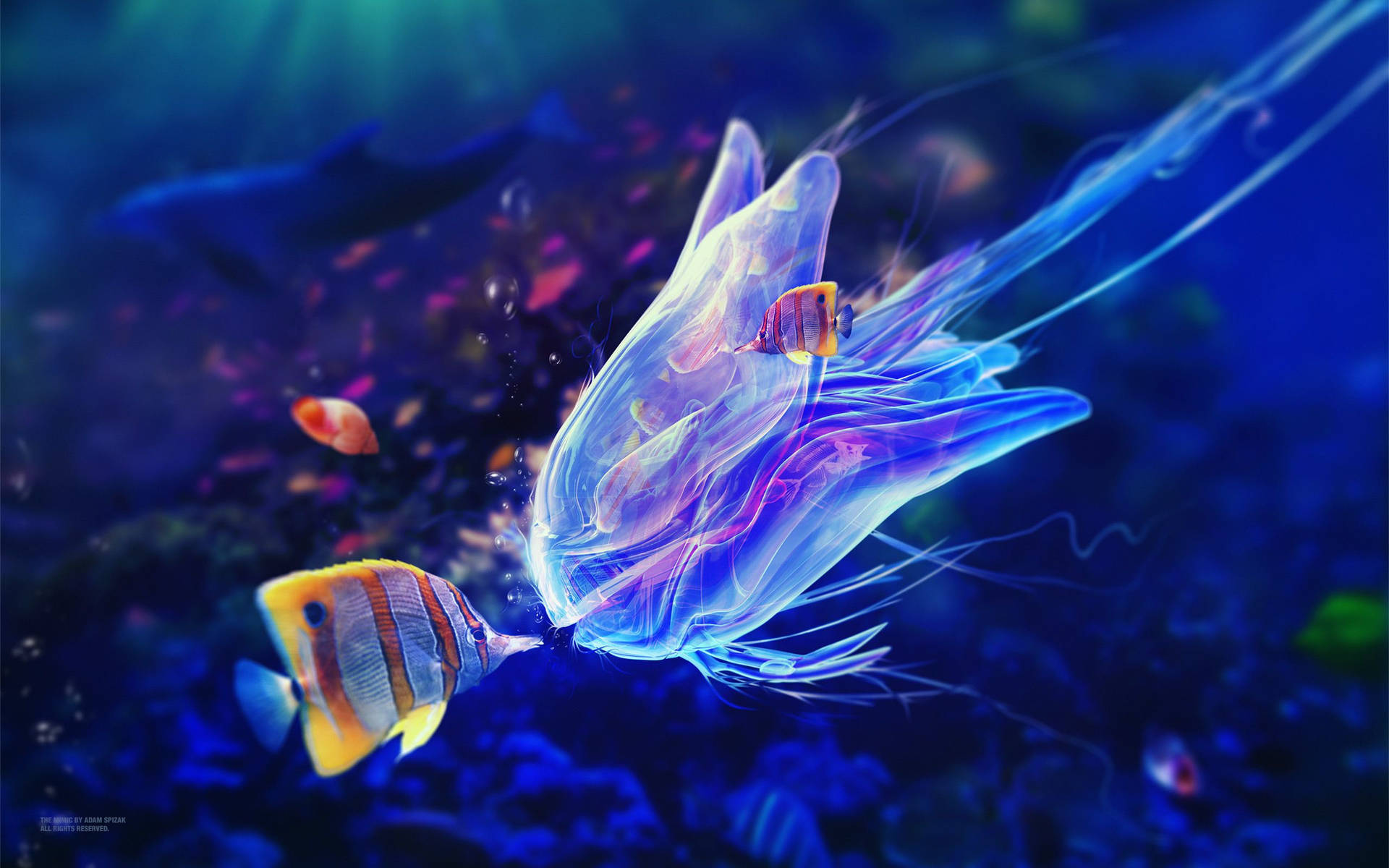 Cool Fish With Jellyfish Background