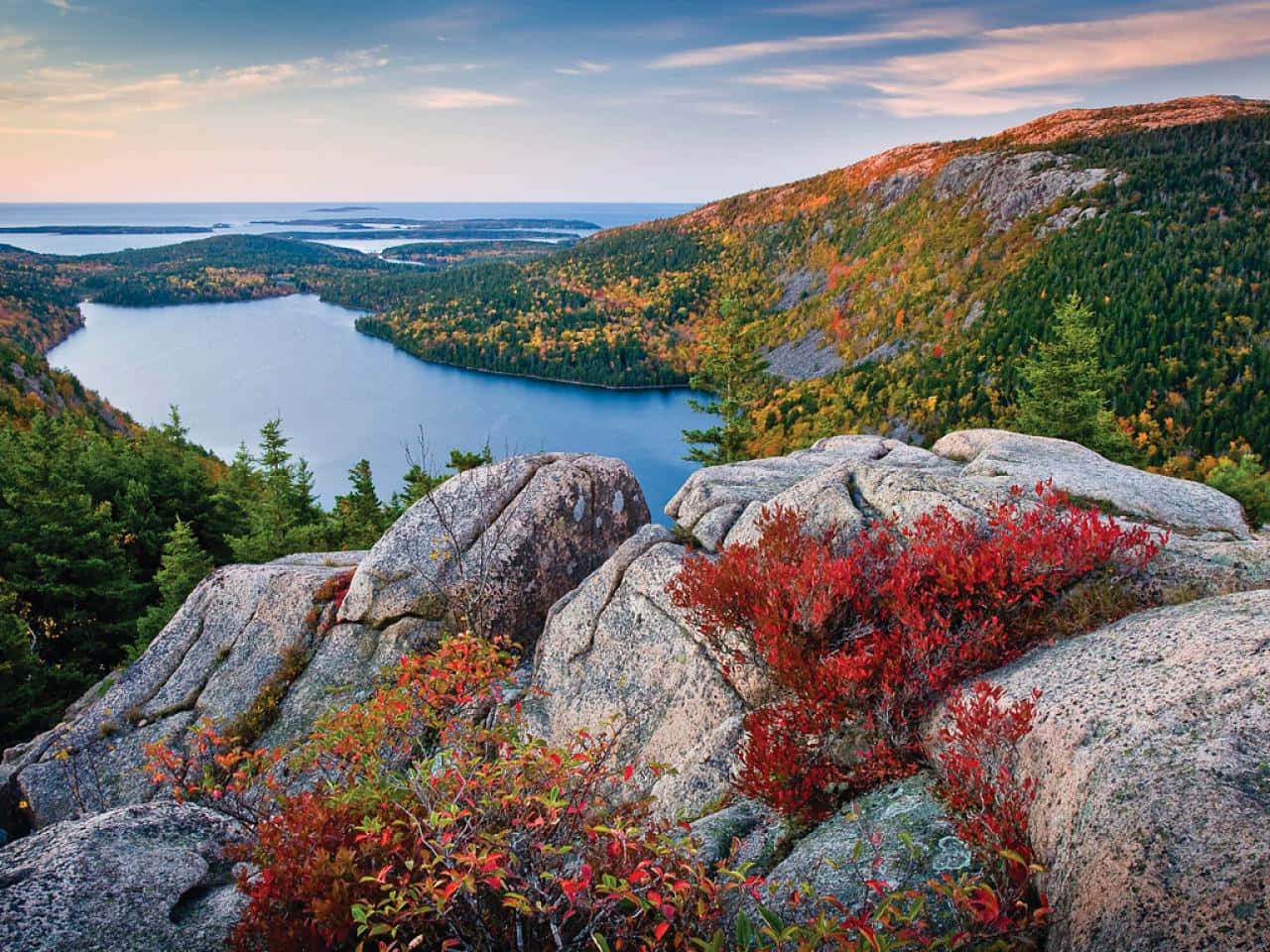Cool Foliage New England Summer Background