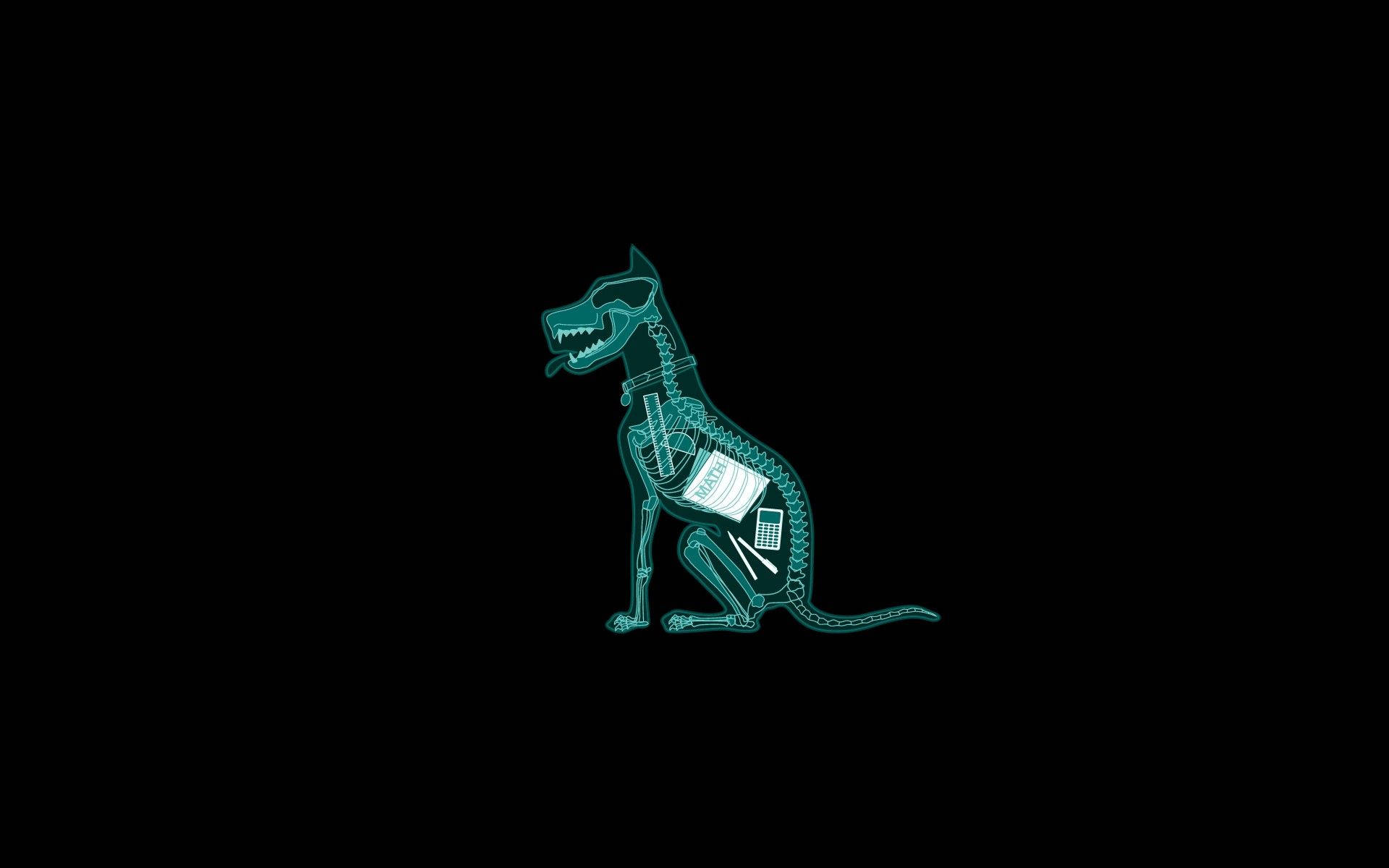 Cool Funny Dog X-ray Background