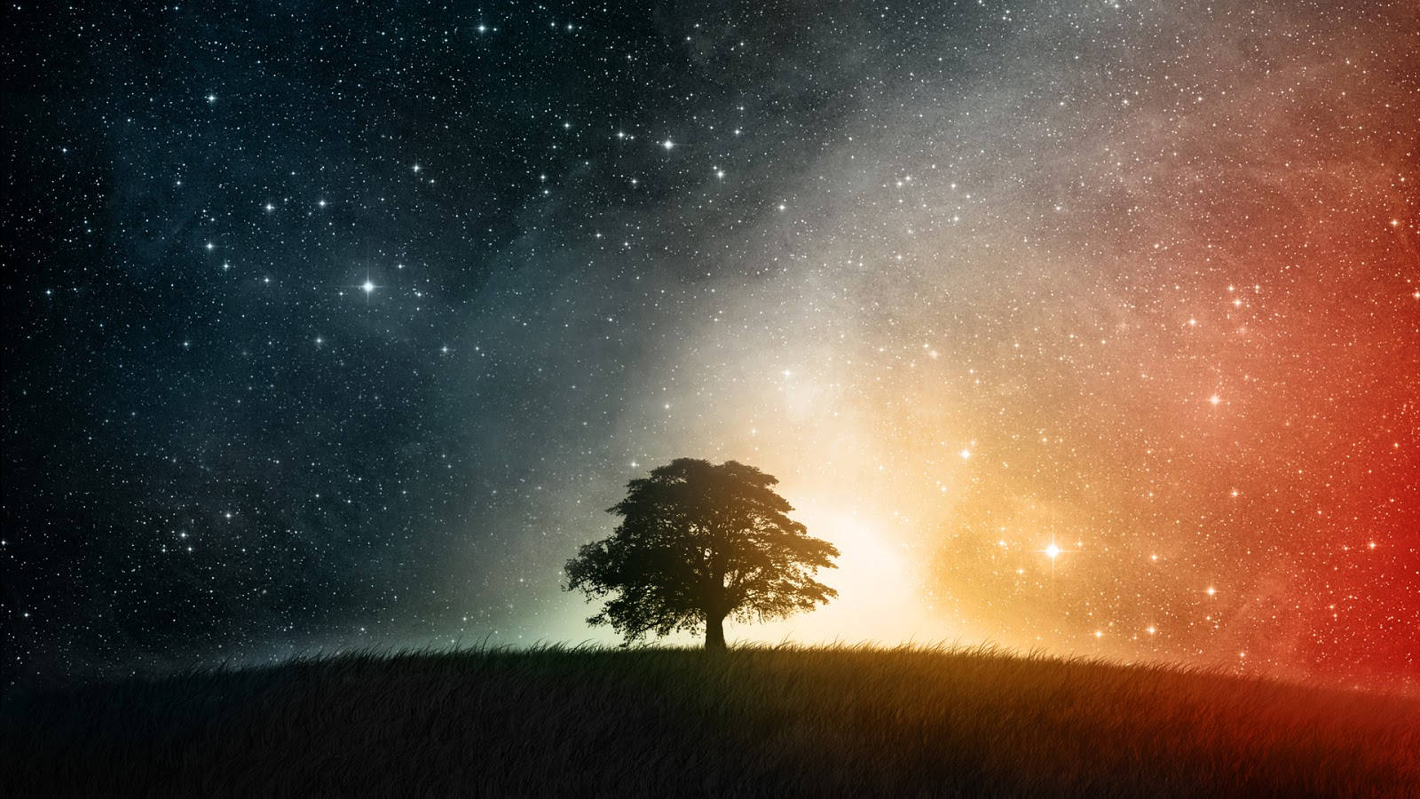 Cool Galaxy Lone Tree Background