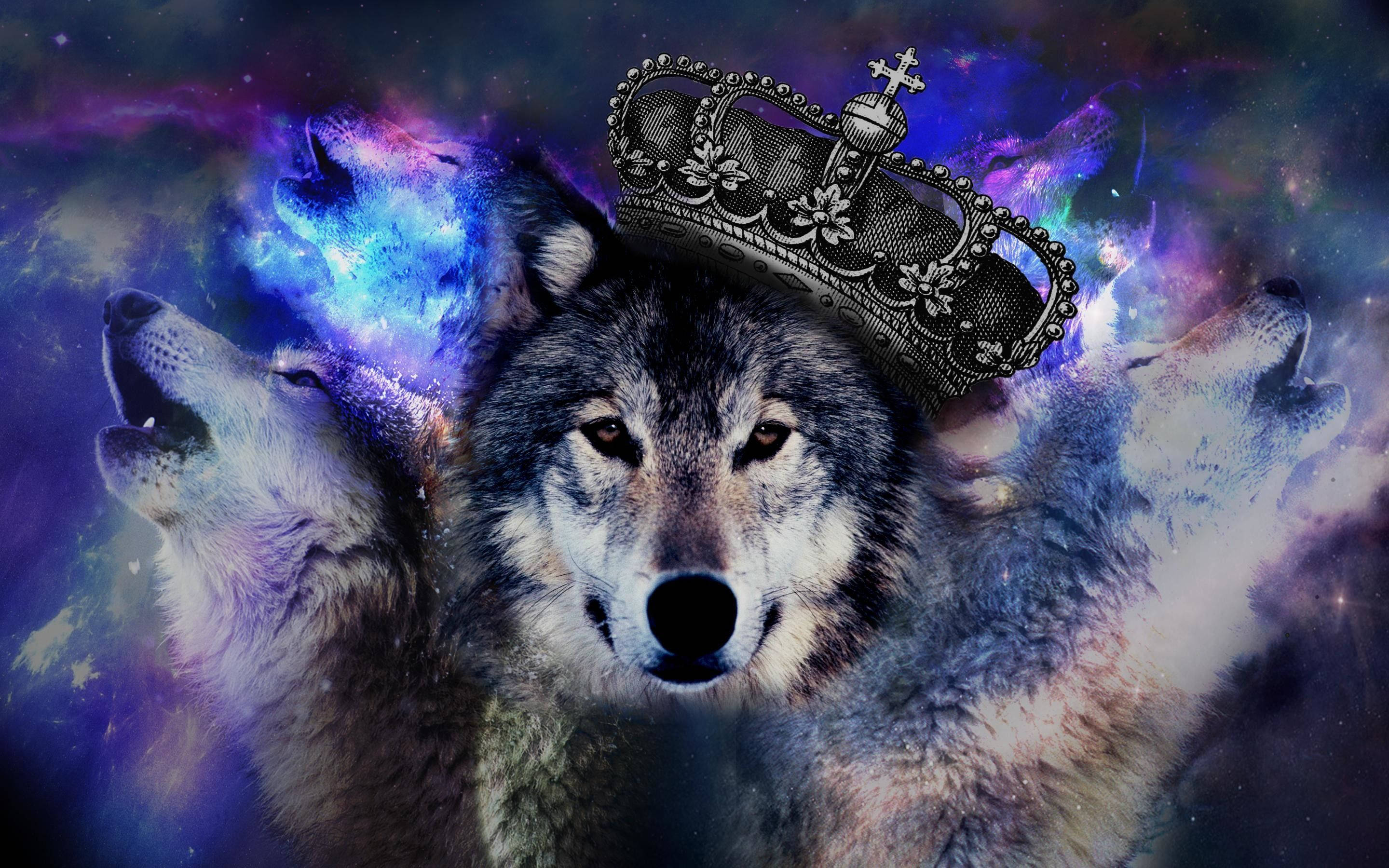 Cool Galaxy With Crowned Wolf Background