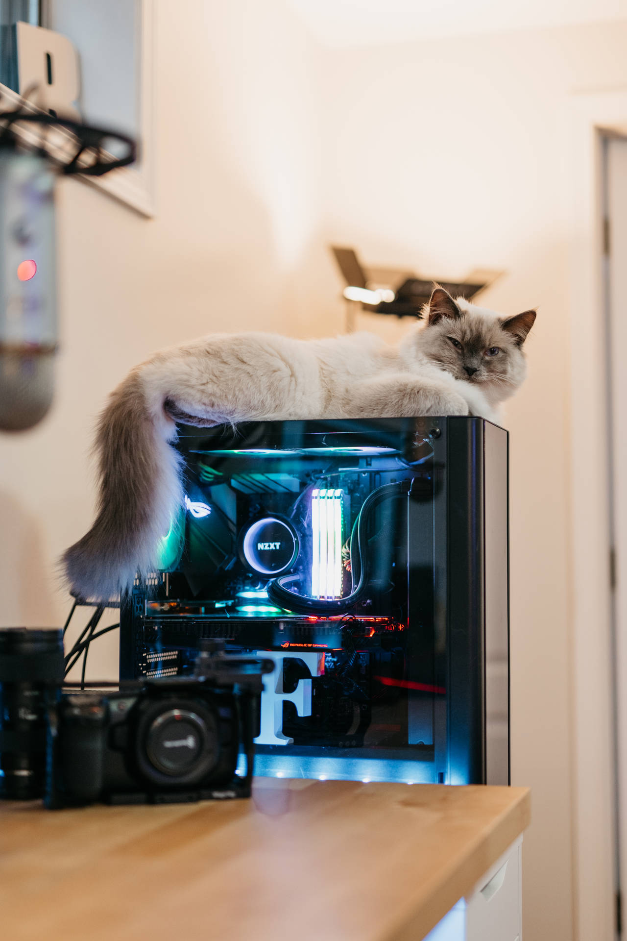 Cool Gaming Cpu And Cat Background