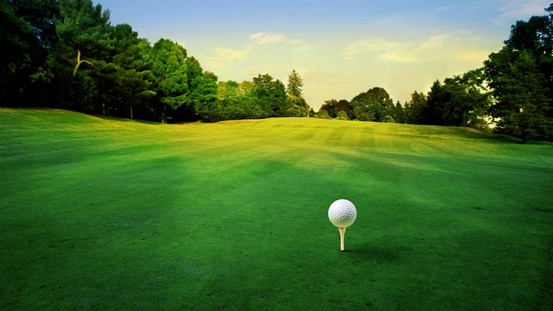 Cool Golf Green Course With Tee Background