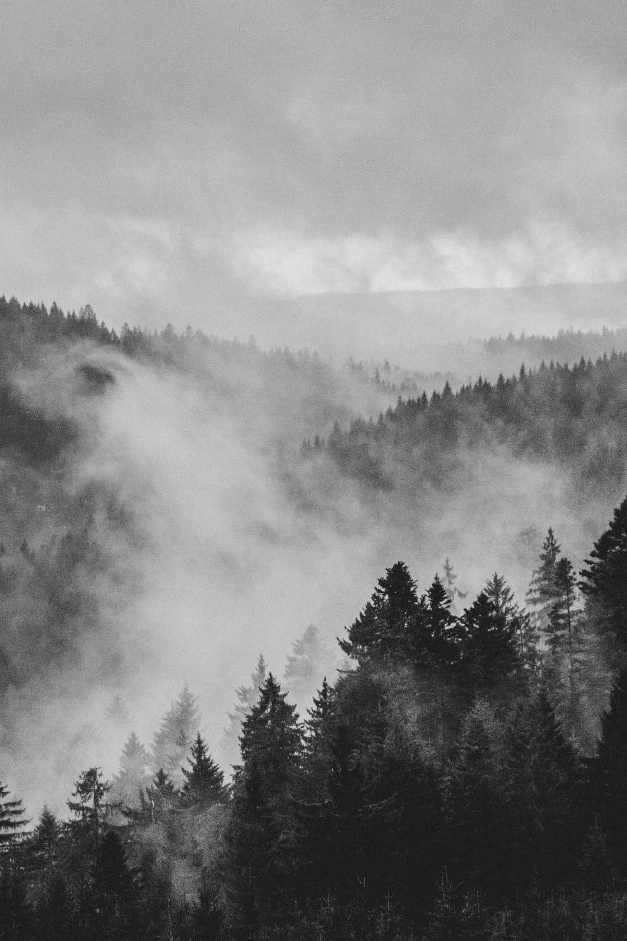 Cool Gray Foggy Mountain Background