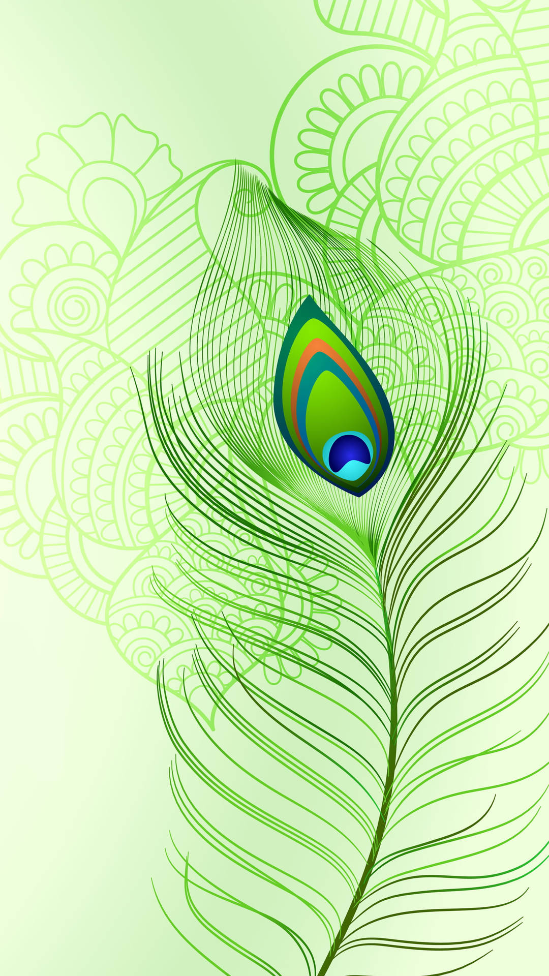 Cool Green Peacock Feather Background