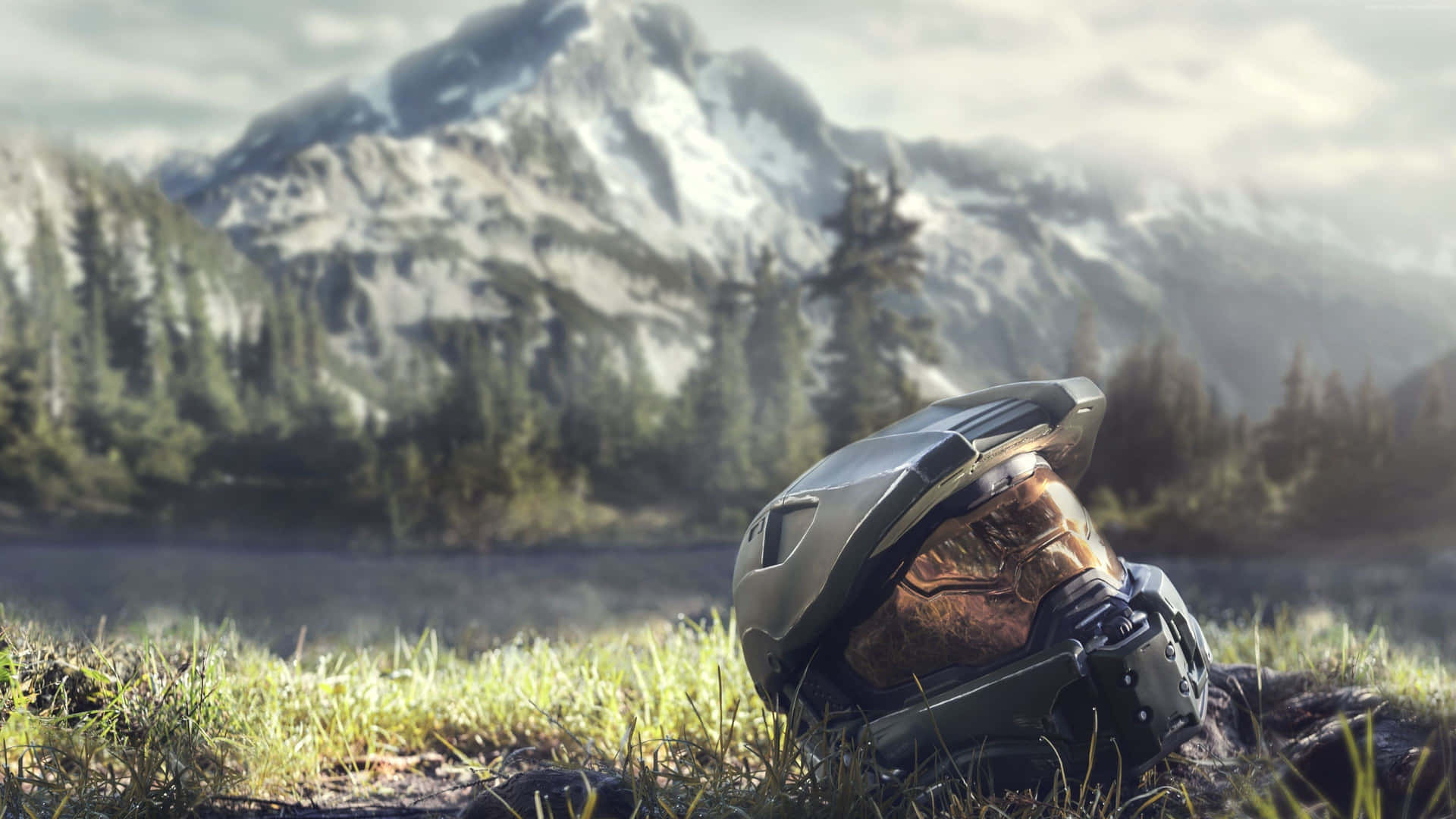 Cool Halo Helmet In Grass Background