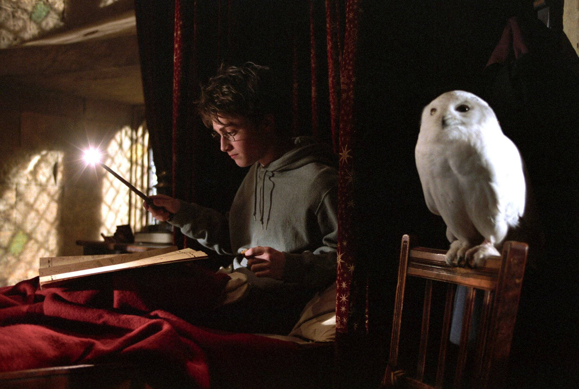 Cool Harry Potter Wand And Hedwig Background