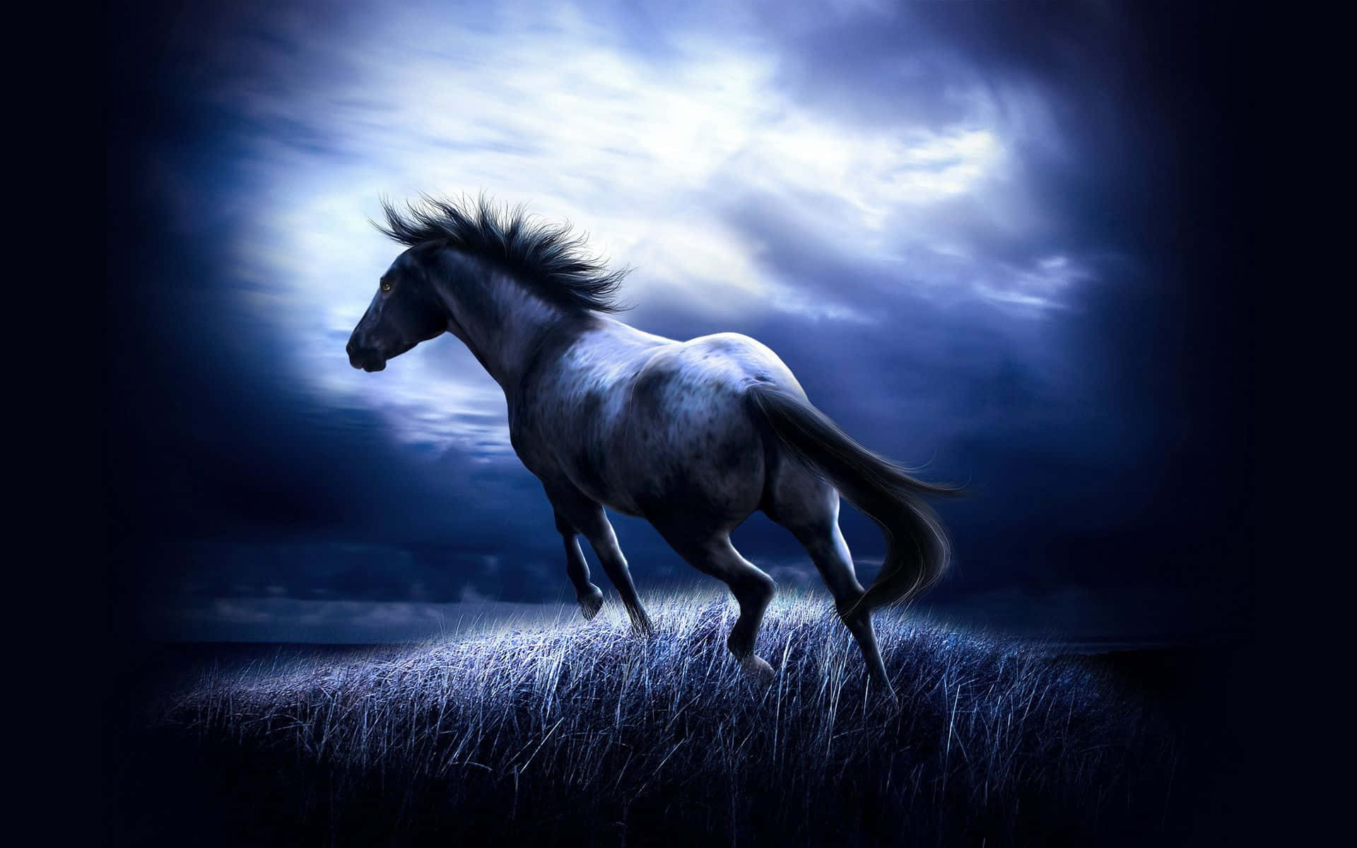 Cool Horse Glowing In The Moonlight Background