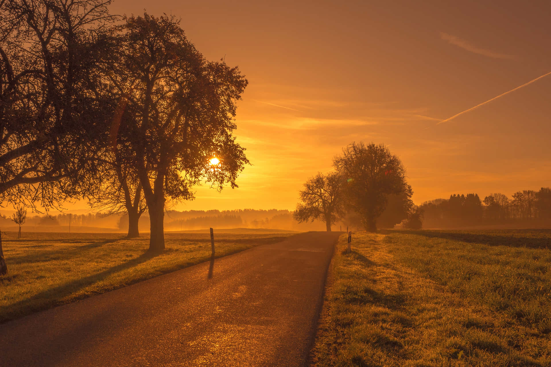 Cool Landscape With A Golden Sunset